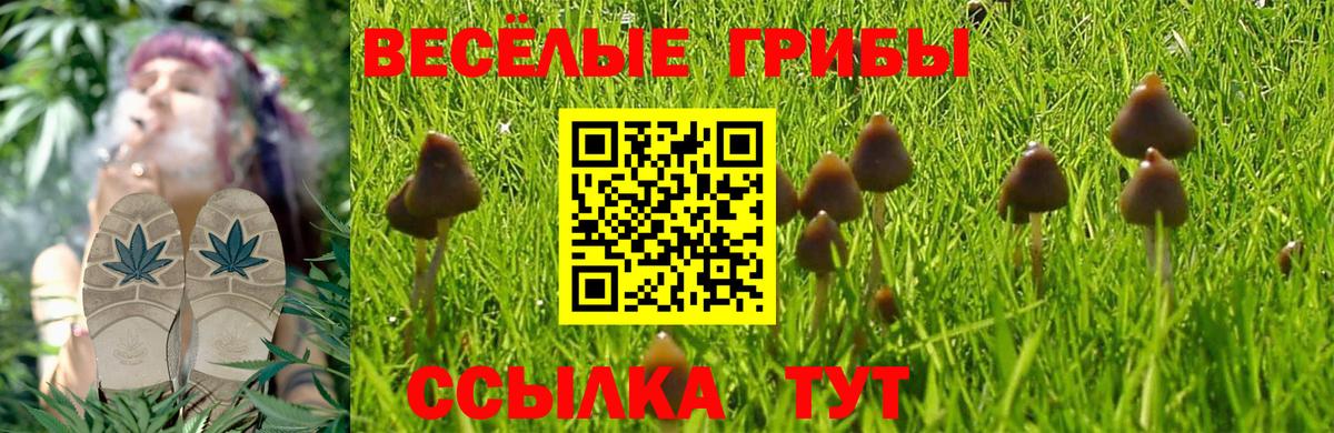 Бошки Шишки  Дзержинский  Меф кристаллы  NBOMe  Вход с VPN  Вейп ТГК  МЕТАМФЕТАМИН  Гашиш  Конопля  COCAIN  КОКАИН 